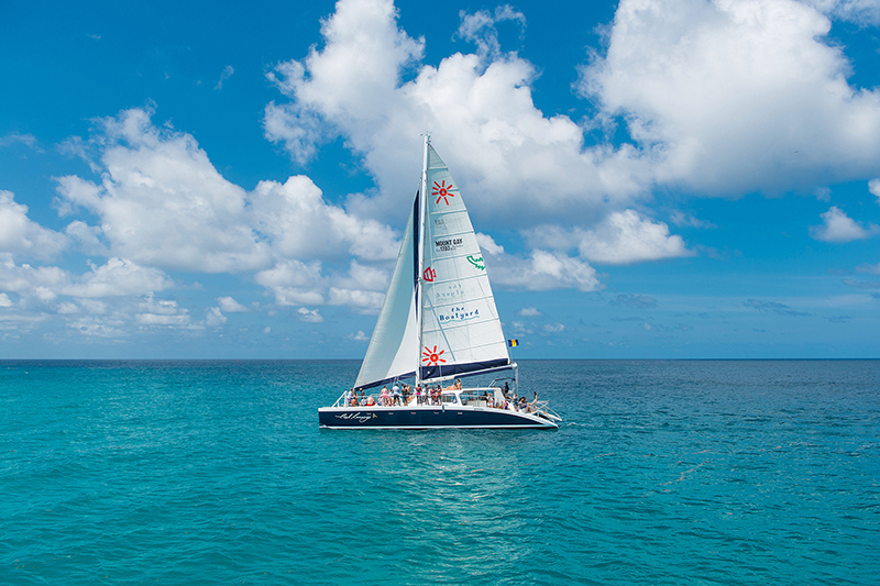 cool runnings catamaran barbados reviews